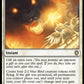 (011) Magic The Gathering Commander: Bloomburrow Single: Perch Protection  Rare