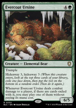 (030) Magic The Gathering Commander: Bloomburrow Single: Evercoat Ursine  Rare