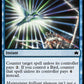 (045) Magic The Gathering Bloomburrow Single: Dazzling Denial  Common