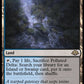 (224) Magic The Gathering Modern Horizons 3 Single: Polluted Delta  Rare