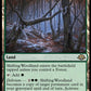 (228) Magic The Gathering Modern Horizons 3 Single: Shifting Woodland  Rare