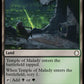 (306) Magic The Gathering Universes Beyond: Fallout Single: Temple of Malady  Holo Rare