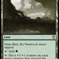 (320) Magic The Gathering Commander: Bloomburrow Single: Oran-Rief, the Vastwood  Rare