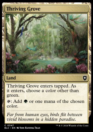 (347) Magic The Gathering Commander: Bloomburrow Single: Thriving Grove  Common