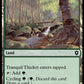 (350) Magic The Gathering Commander: Bloomburrow Single: Tranquil Thicket  Common