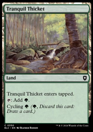 (350) Magic The Gathering Commander: Bloomburrow Single: Tranquil Thicket  Common