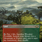 (361) Magic The Gathering Modern Horizons 3: Extras Single: Wooded Foothills (V.1)  Rare