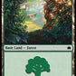 (377) Magic The Gathering Bloomburrow: Extras Single: Forest (V.1) Holo Land