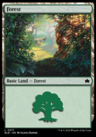 (377) Magic The Gathering Bloomburrow: Extras Single: Forest (V.1) Holo Land