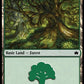 (378) Magic The Gathering Bloomburrow: Extras Single: Forest (V.2)  Land