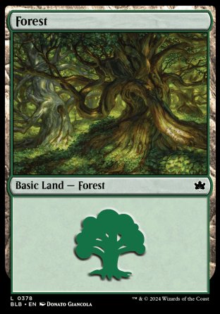 (378) Magic The Gathering Bloomburrow: Extras Single: Forest (V.2)  Land