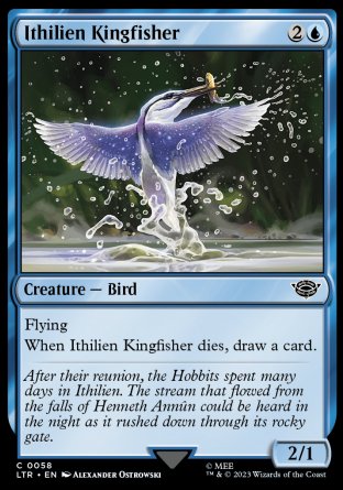 (058) Magic The Gathering The Lord of the Rings: Tales of Middle-earth Single: Ithilien Kingfisher  Common